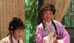 越剧《红楼梦》黄依群王志萍经典唱段《春风会吹皱梨花脸》高清下载