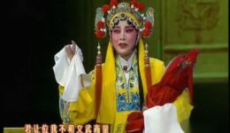 秦腔经典折子戏《二进宫》米蓉王建力贾周峰主演，西安秦腔剧院精彩呈现下载