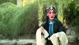 秦腔《赶坡》选段下载，蔡香梅精彩演唱，经典戏曲资源速取下载