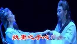 黄梅戏《李时珍》选段执妻之手在线下载,经典戏曲资源一键获取 黄梅戏《李时珍》选段执妻之手在线下载,经典戏曲资源一键获取