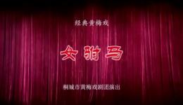 黄梅戏《女驸马》全剧下载-严凤英等主演经典戏曲资源 黄梅戏《女驸马》全剧下载-严凤英等主演经典戏曲资源