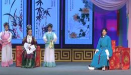 天津评剧院三团评剧《珍珠塔》全剧在线观看,经典古装评剧资源下载 天津评剧院三团评剧《珍珠塔》全剧在线观看,经典古装评剧资源下载