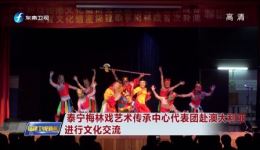 泰宁梅林戏艺术传承中心交流活动，传承经典，共话梅林戏创新发展新路径