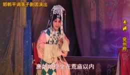 武安平调《兖州府》全集下载 - 王奇星杨海燕史书平主演经典戏曲资源