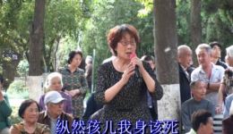 泪洒相思地