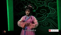 淄博五音戏《紫凤》在线观看聊斋传奇故事，因情换魂演绎动人爱情