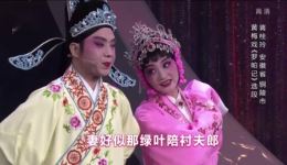 黄梅戏《牛郎织女》选段高清资源 相约花戏楼20190510完整戏曲在线观看 黄梅戏《牛郎织女》选段高清资源 相约花戏楼20190510完整戏曲在线观看