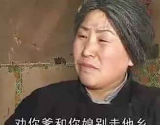 上党鼓书《养子》全集高清下载 - 张洁主演经典戏曲资源
