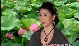 潮剧《日久更知真爱难》在线观看下载，王美芳经典演绎，高清资源速取下载