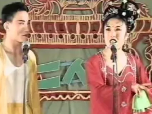 二人转正戏《杨金豹出世》全集资源，李翠华王会义经典演唱