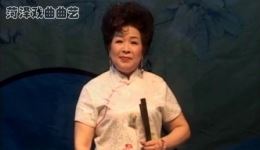刘瑞莲经典演绎河南坠子《王二姐思夫》高清片段在线下载，品味传统曲艺深情韵味下载
