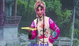 武安落子经典《端花》赵艳杰精彩演绎,传统戏曲魅力在线呈现 武安落子经典《端花》赵艳杰精彩演绎,传统戏曲魅力在线呈现
