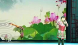 我家有个小九妹