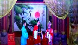 钓金龟