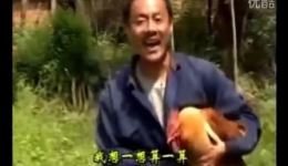 乡巴佬卖鸡