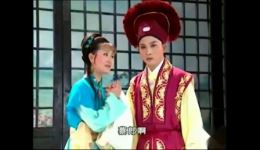 黄梅戏经典《小辞店》周源源周珊主演，传统名剧在线下载，领略黄梅戏独特韵味下载