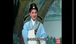 黄梅戏《胭脂》全剧高清下载余顺茆建林主演，传统经典剧目完整呈现下载