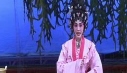 二八娇妻一岁郎（碧海狂僧）