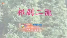 祁剧《狸猫换太子》邵桂花主演戏曲视频MP4/MP3资源下载 - 高清正版戏曲下载 祁剧《狸猫换太子》邵桂花主演戏曲视频MP4/MP3资源下载 - 高清正版戏曲下载