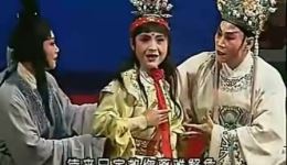 秦腔全本《狸猫换太子》在线观看与下载 - 银川市秦腔剧团精彩演绎下载