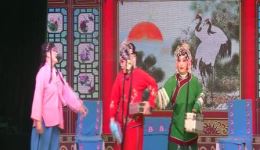 豫剧《三娘教子》全场戏在线观看，海英、李小毛等名家演绎，经典教子故事高清呈现下载