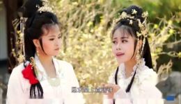 华洛歌仔戏《柳君拂》在线观看吴建华演绎，忠义与深情的乱世绝唱下载