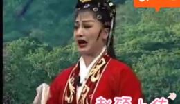 刘全进瓜