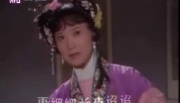 昆曲《晴雯》全场高清下载，华文漪岳美缇经典演绎，不容错过下载