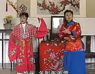 上党鼓书《鸳鸯恨》1-4全集下载，经典戏曲资源在线获取