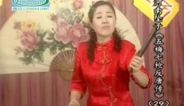 五梅七枪反唐传