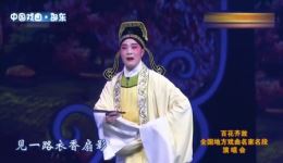 紫玉钗
