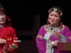 张晓英《梨园春》专辑（中集）下载，精彩戏曲小品不容错过