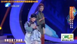 梨园春戏曲综艺汇聚全国剧种，戏迷擂台赛精彩呈现，尽享传统戏曲魅力下载