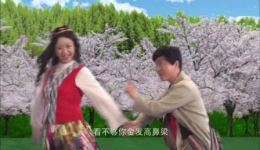 大树西迁