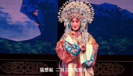 河北梆子《大登殿》全场高清下载 王洪玲张元杰韩建华经典演唱 王宝钏平贵团圆名段