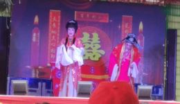 庐剧《孟丽君》李剑何大翠主演，经典戏曲完整资源在线下载下载