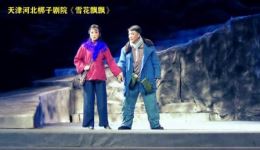 雪花飘飘