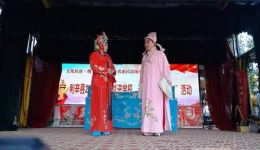 泗州戏《墙头记》全场戏下载 - 罗军施立义等主演经典戏曲资源