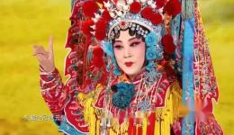 京津冀《谁与争锋》河北梆子名旦大会第三小组第一场排位赛高清资源下载