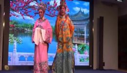 孟丽君 游上林
