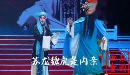 汉调二黄经典《武家坡》陈珊胡明飞主演，安康汉调二黄研究院倾情呈现