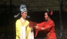 巡按审母