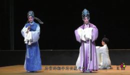 豫剧《鱼玄机》全剧在线观看，张亚鸽主演，晚唐才女传奇大戏高清资源下载下载