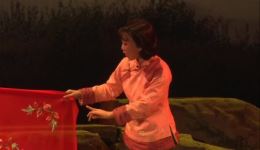 吕剧《解文卿》全场直播在线观看 - 孙学风姜宏亮尹心主演红色现代吕剧下载