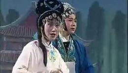 淮剧《包公泪》（下）全集高清下载 - 蔡山河殷金龙冯秀主演经典淮剧资源下载