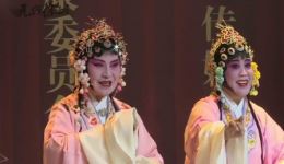 柳琴戏《奏雪梅》选段下载,经典戏曲选段资源,感受传统柳琴戏韵味 柳琴戏《奏雪梅》选段下载,经典戏曲选段资源,感受传统柳琴戏韵味