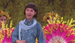 吕剧《大河开凌》选段：一弯冷月照寒窗 ，彭丽媛演唱