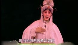秦腔经典《火焰驹》选段在线观看 窦凤琴康亚蝉精彩演绎下载