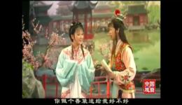 越剧《红楼梦》高清下载 - 钱惠丽单仰萍经典演绎宝黛爱情悲剧下载