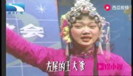 楚剧《夫妻观灯》张明智周萍阶主演 戏曲视频mp4/mp3资源下载 - 经典楚剧在线获取
